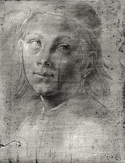 Head of a Young Man by Lorenzo di Credi